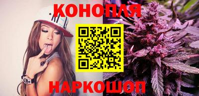 Альфа ПВП Камышлов