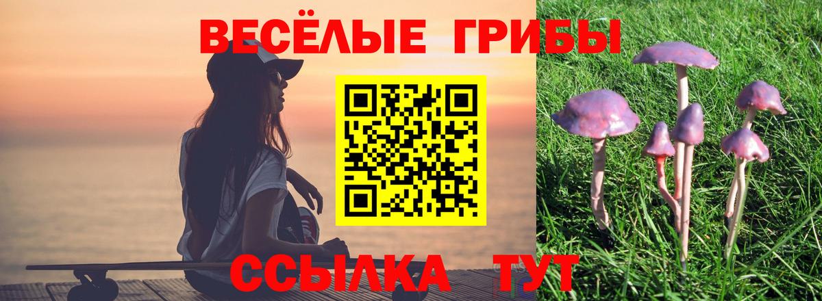 Галлюциногенные грибы мухоморы Лабытнанги